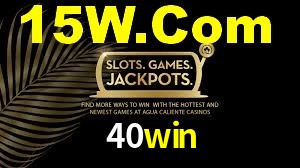 Interface Premium 40win